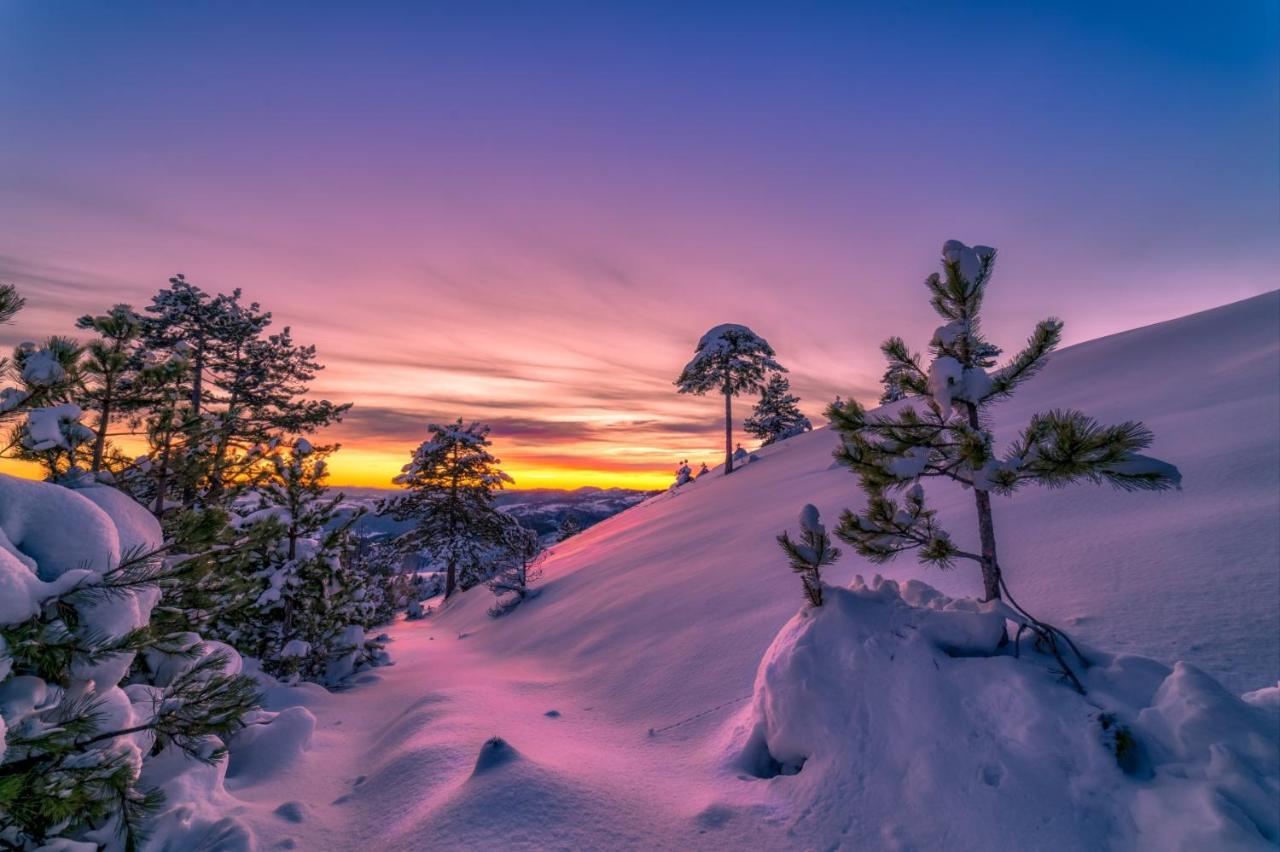 Apartman Tajena Zlatibor Exteriér fotografie