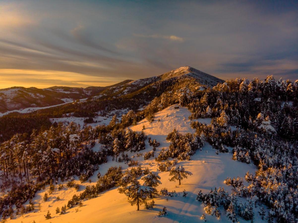 Apartman Tajena Zlatibor Exteriér fotografie